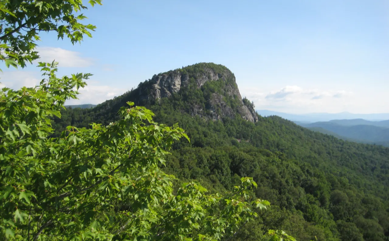 Table Rock's bare, flat-topped rock summit rising above forested ridges of the Linville Gorge under a blue sky, with green leaves in the foreground